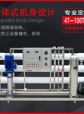 大型超纯水处理设备工业商用净水器ro双级反渗透设备去离子净水器
