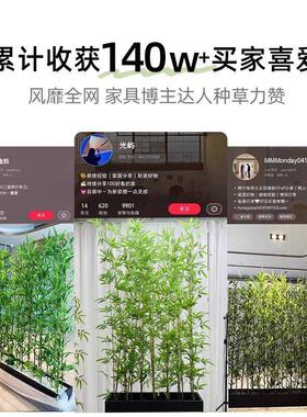 仿真竹子室酒装饰2026227造景围内栏仿绿植庭院生隔断摆件店室内