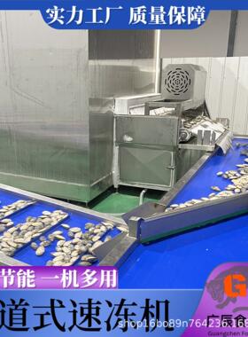 商用海鲜隧道式速冻机 章鱼低温速冻设备 蛏子扇贝制冷设备 广辰