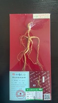 Old Northeast Nius Wild Mountain ginseng 2023 Hang inspection 2nd class 7g coding (5447155)