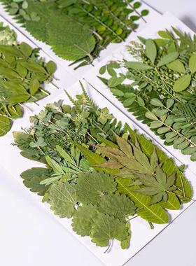 乾燥花压花植物标本手工diy材料包手工贴画乾燥花压花装饰画DIY乾