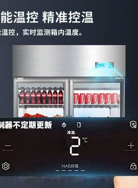 蔬菜冷藏展示柜商用冰箱超市双门立式饮料饭店酒店放菜水果保鲜柜