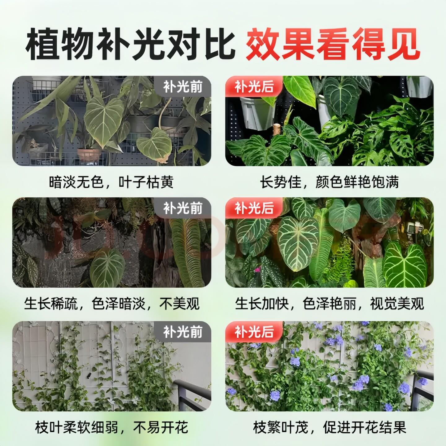 Plant fill light spotlight household LED indoor dedicated full spectrum imitation sunlight embedded green plant growth downlight