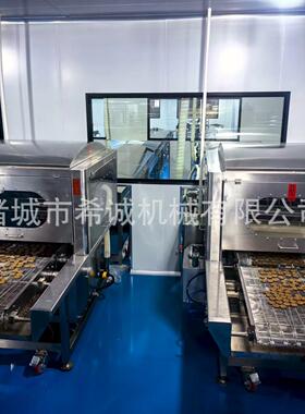 晴王葡萄巧克力涂层机烘焙糕点冻干草莓面或者双面巧克力涂层机