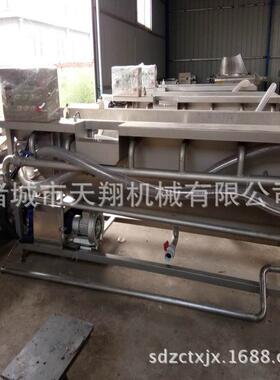 全自动气泡洗菜机蔬菜清洗机涡流式洗菜机诸城市天翔机械