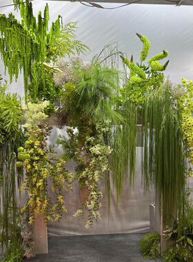 采购产品婚礼绿色植物，高人造芦笋，长枝，柳树芽，假花，白色和