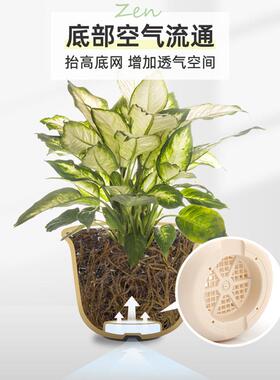 爱丽丝丽思树脂绿萝花盆盆栽花瓶