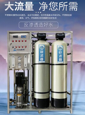 供应纯化水设备去离子水纯净水双级反渗透水处理除垢大型工业设备