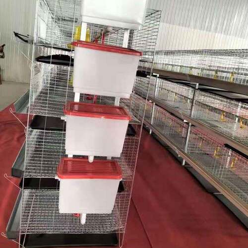 现货立式四层小鸡笼育雏鸡笼层叠式养鸡笼养鸡设备养殖场鸡舍用 - 图2