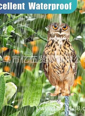 直销新款驱鸟神器仿真猫头鹰镭射反光双面亚克力驱鸟猫头鹰果园阳