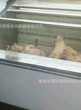 定制猪蹄猪朵毛源冠脱辊清机羊头毛刷清洗机山土豆耳芋头清洗皮洗