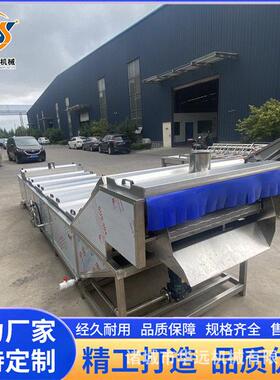 大球盖菇漂烫机 紫苏叶加工设备 香梨漂烫设备 新款