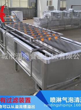 黄瓜气泡清洗机生产定制厂家金针菇全自动清洗机高压喷淋洗菜机