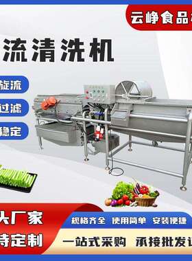 笋丝包菜丝涡流清洗机洗菜机净菜加工清洗线小龙虾肉类涡流清洗机