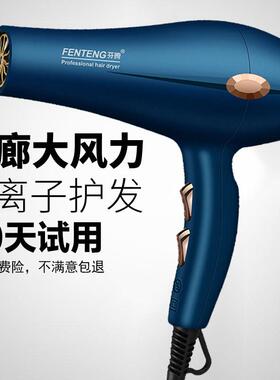 发廊专用吹风机家用理髲店大功率负离子护发大风力速干冷热风筒