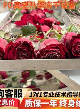 固体饮料原料冻干机大型果蔬冻干机FD冻干设备真空冷冻干燥机