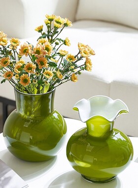 欧式轻奢中古玻璃花瓶摆件水培客厅插花复古花器居家装饰品高级感