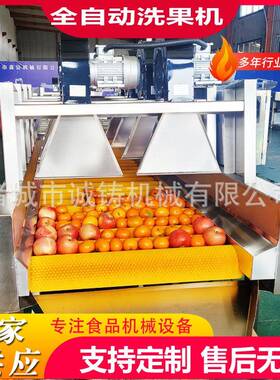 工厂用水果毛刷清洗机设备燕窝果毛辊清洗机麒麟果毛刷清洗风干线