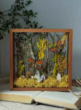 双面玻璃蝴蝶标本微景观科普儿童昆虫摆件干燥花植物相框个性礼物