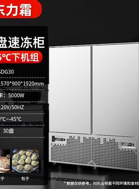 冰箱速冻柜商用榴莲海鲜包子饺子速冻机速冻急冻锁鲜全自动食品级