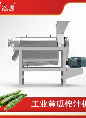 优惠全自动不锈钢小型黄瓜螺旋榨汁机工业果蔬压榨机厂家直销