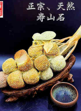博古石斋寿山石礼品名利双收 一鸣惊人荔枝摆件福建源头产地批发
