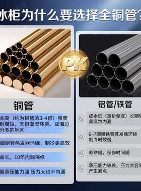 【冷藏室铜管】星星冰柜双温双室家用小型冷藏冷冻两用双门冷柜