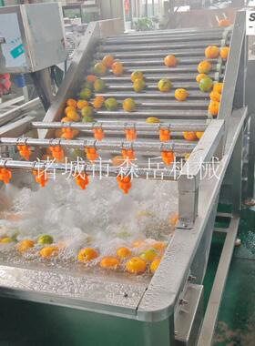 厂家直供蓝莓草莓气泡洗果机全自动果蔬清洗机304不锈钢商用现货