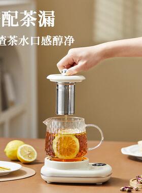 养生壶办公室小型烧水壶一人mini电小茶壶迷你煮茶炉烧水壶黑晶炉