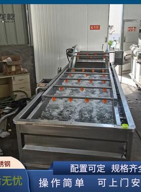 全自动水果蔬菜清洗机喷淋式去农残洗菜机小龙虾气泡清洗设备现货