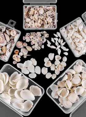天然贝壳 小海螺 钉螺材料包 花螺 DIY饰品布景道具 扇贝组合套装