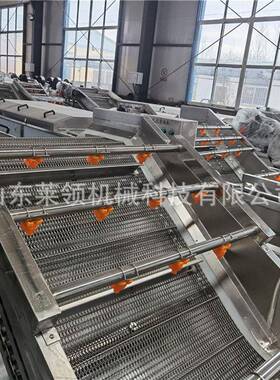 生姜去皮清洗机净菜全套设备蔬菜水果连续蒸煮漂烫机土豆清洗机器