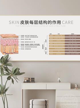 皮肤管理原理剖析挂画医美机构装饰画美容院咨询面诊室宣传广告画