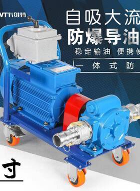 电动抽油泵12v24v220v防爆导油卸油泵大流量柴油汽油油车加注机