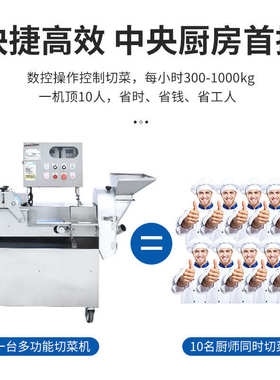 丁切丝商用学校食堂厨房器段切菜机双头切菜机电动蔬菜片多功能