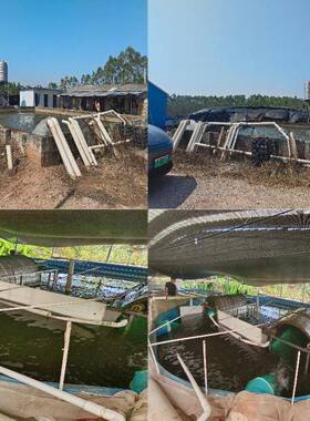 广西牛蛙养殖专用环保设备水产养殖尾水处理循环回用零排放工艺