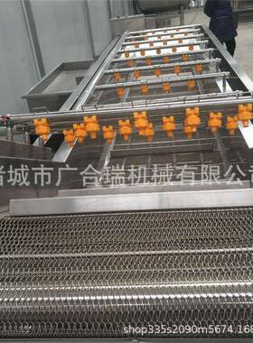 全自动果蔬气泡清洗机粽叶黄瓜芹菜橘子圣女果清洗机连续洗菜机