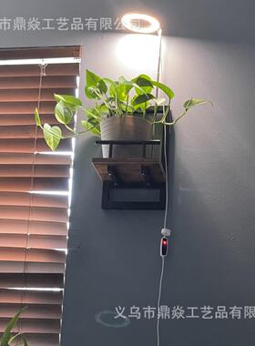 跨境植物架壁挂式花盆室内室外花架墙壁装饰花卉展示架置物架摆件