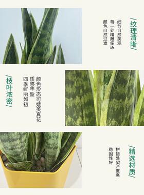 北欧仿真绿植金边虎皮兰盆栽室内客厅造景花卉道具假绿植落地装饰