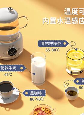 菲森客迷你养生壶小型办公室mini多功能家用煮茶器玻璃花茶烧水壶
