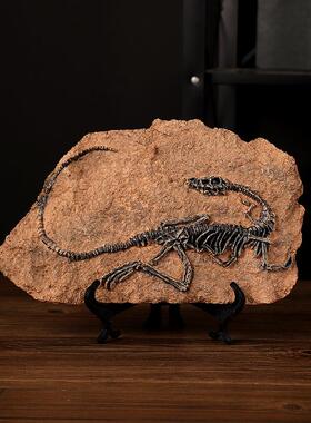 复古恐龙化石树脂摆件展柜办公室店铺客厅书房摆件霸王龙化石模型