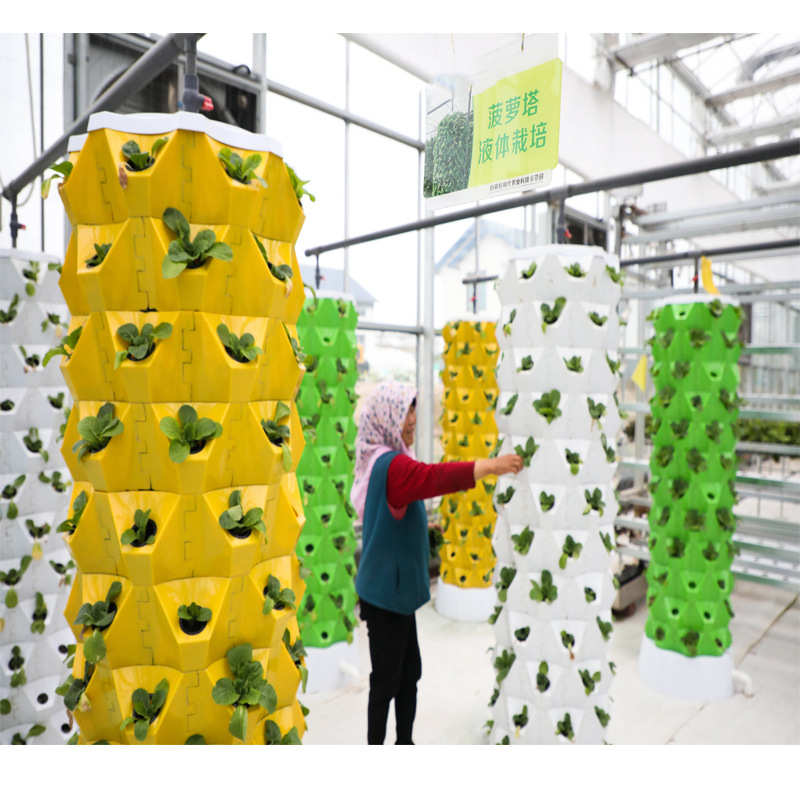 菠萝塔气雾栽培模式无土栽培种植蔬菜草莓雾培种植塔大棚立体栽培 - 图0