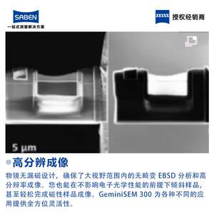 ZEISS蔡司SEM场发射扫描电子显微镜GeminiSEM300扫描电镜