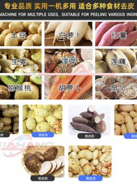 工厂直销商用土豆去皮机大容量土豆削皮机自动土豆削脱皮