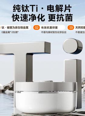 110V伏出口果蔬净化器家用清洗机全自动食料消毒杀菌美国中国台湾