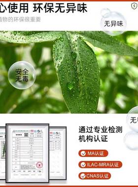 南天竹彷真绿色植物高级感客厅轻奢室内大型装饰树假植物落地摆件