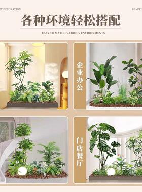 彷真绿色植物南天竹造景组合橱窗装饰阳台假植物景观玄关室内氛围