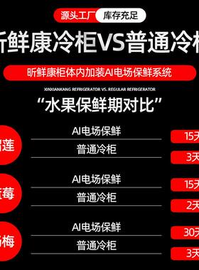 商用四门冰箱大容量厨房电场冷冻双温开门冷柜立式蔬菜保鲜六门