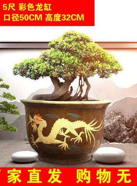 陶瓷盆特大号龙缸花盆家用庭院种树专用盆铁树盆发财树特价盆清仓