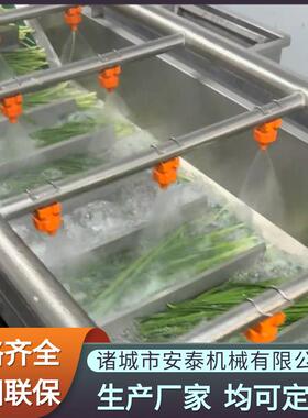 韭菜高压喷淋气泡清洗机海棠果鼓泡式清洗机蔬菜全自动清洗设备